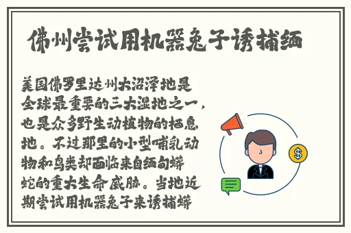 甜心906.t∨3.80
